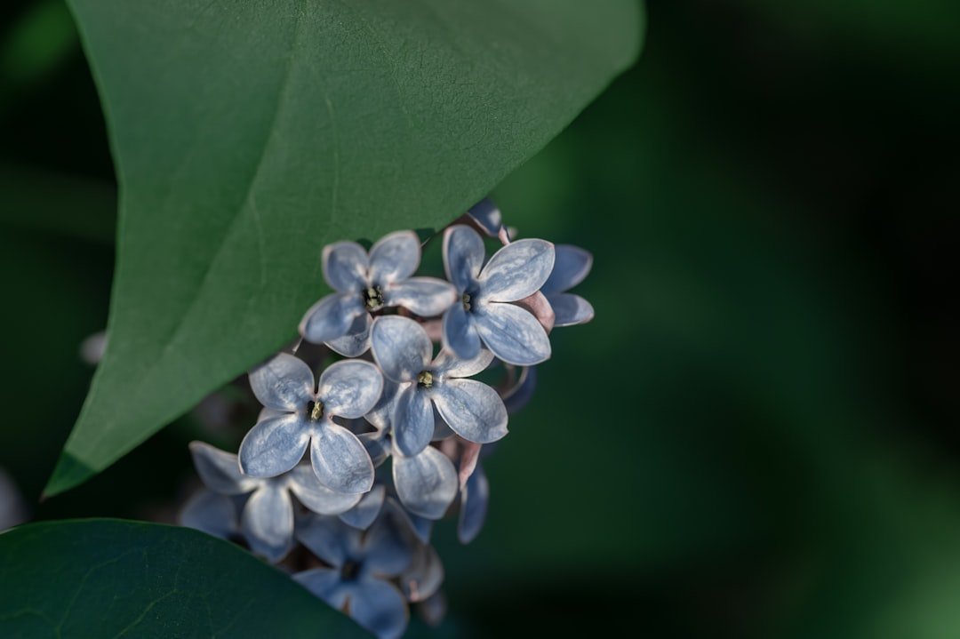 A New Kind of Bead: PlantMe Beads