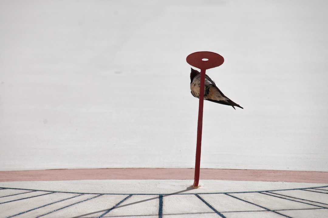 The Future of Hockey: A Balancing Act