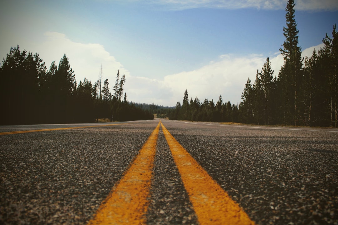 The Road Ahead: Uncertainty Lingers