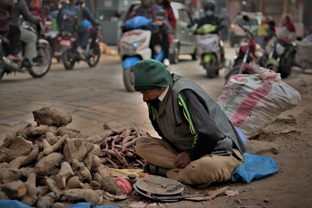 The Economic Burden of Inaction