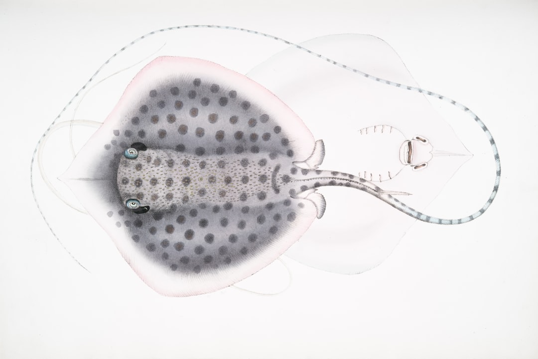 Key Findings on Sperm Concentration