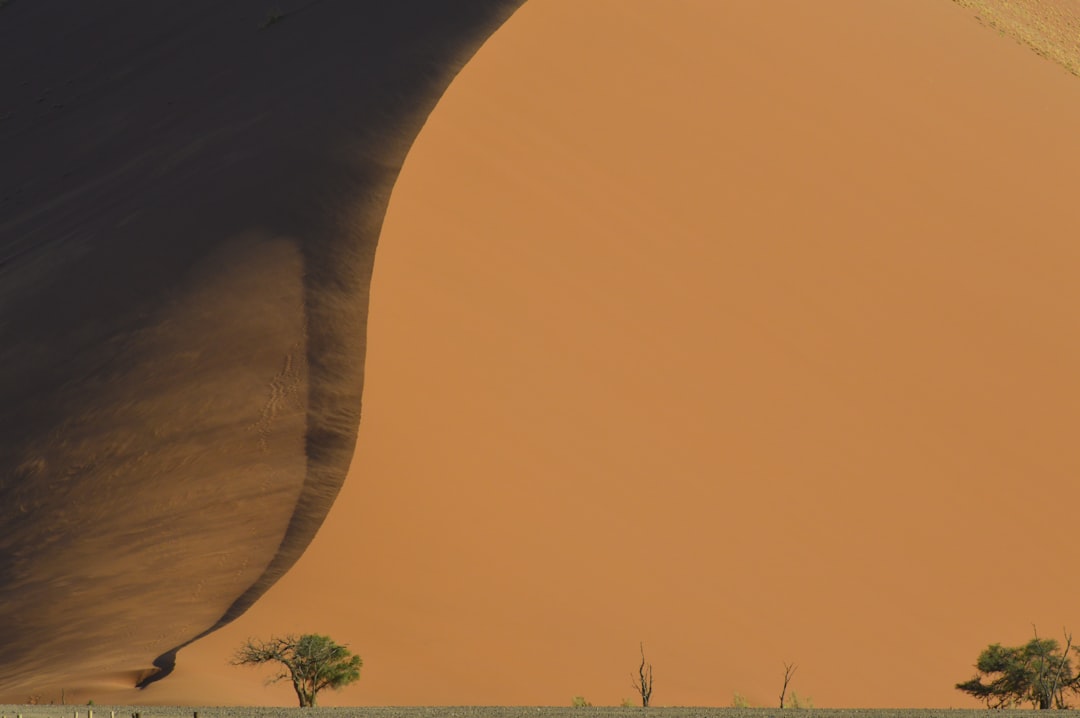 The Scale of the Problem