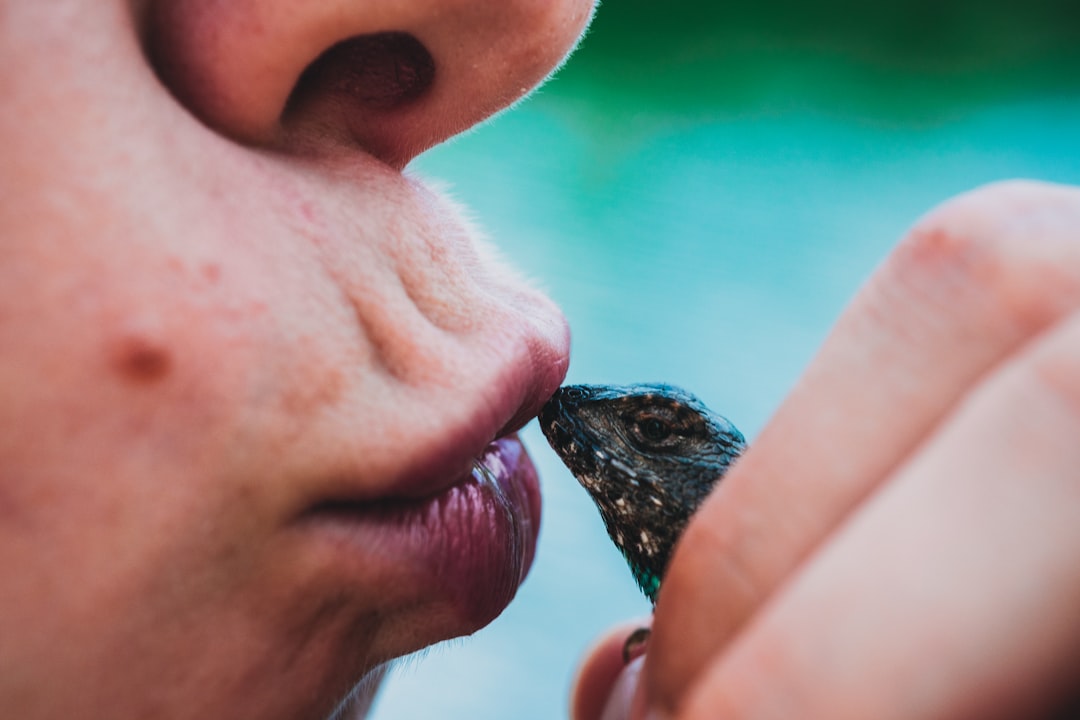 The Future of Kissing Research