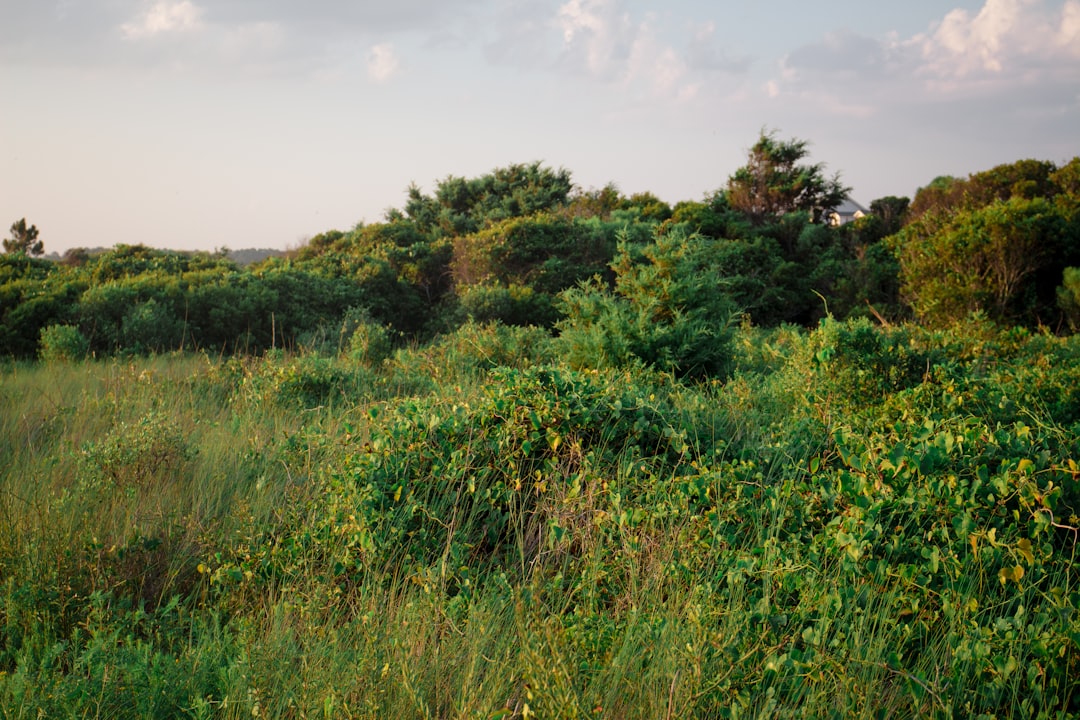 The Legal and Environmental Landscape