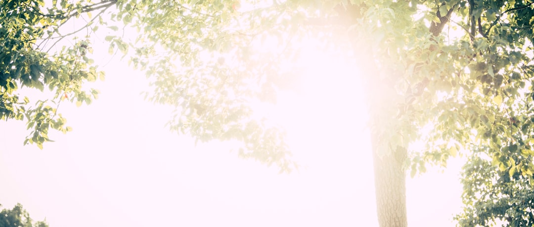 A Transformational Moment