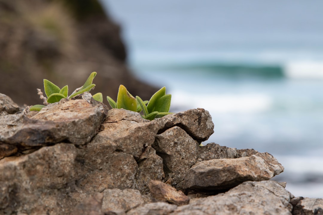 Resilience and Learning Opportunities