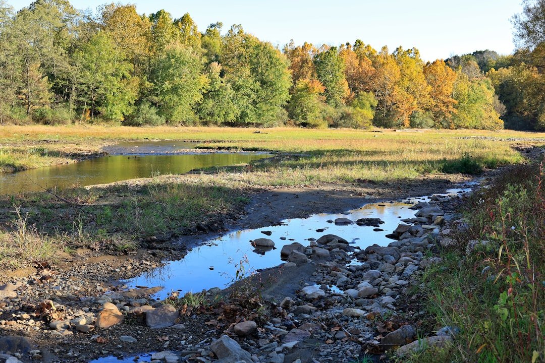 Community Concerns and Environmental Impact