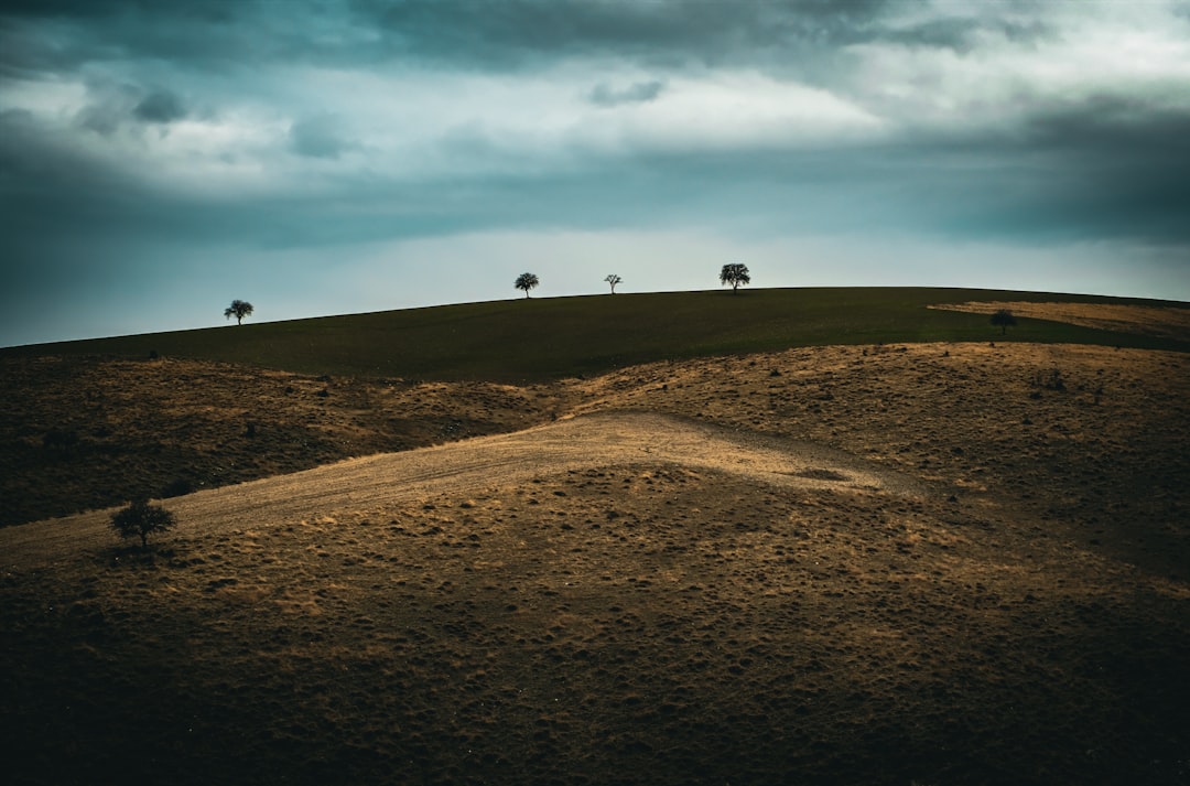 Implications for the A.I. Landscape