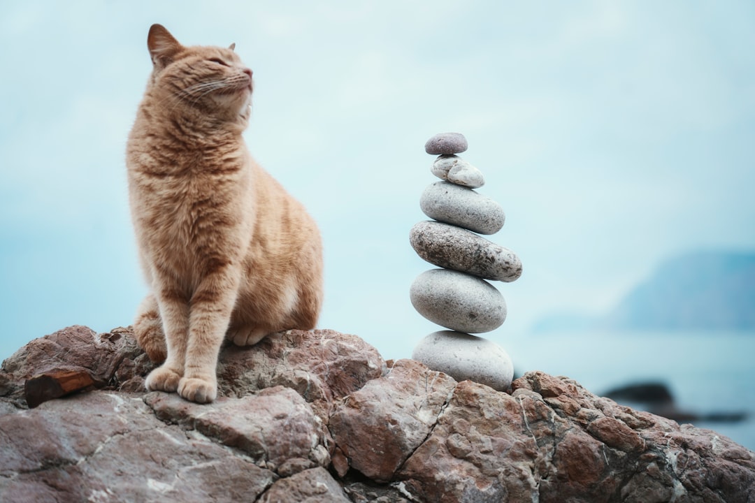 The Balancing Act Ahead