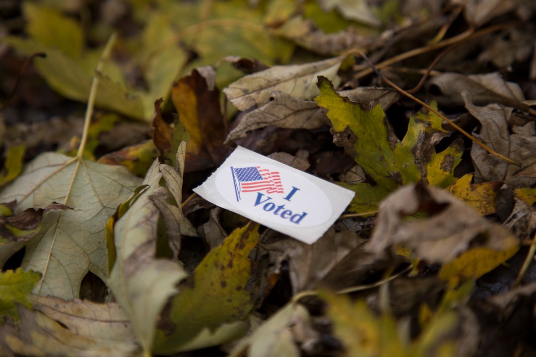 The Voter Sentiment: A Divided Electorate