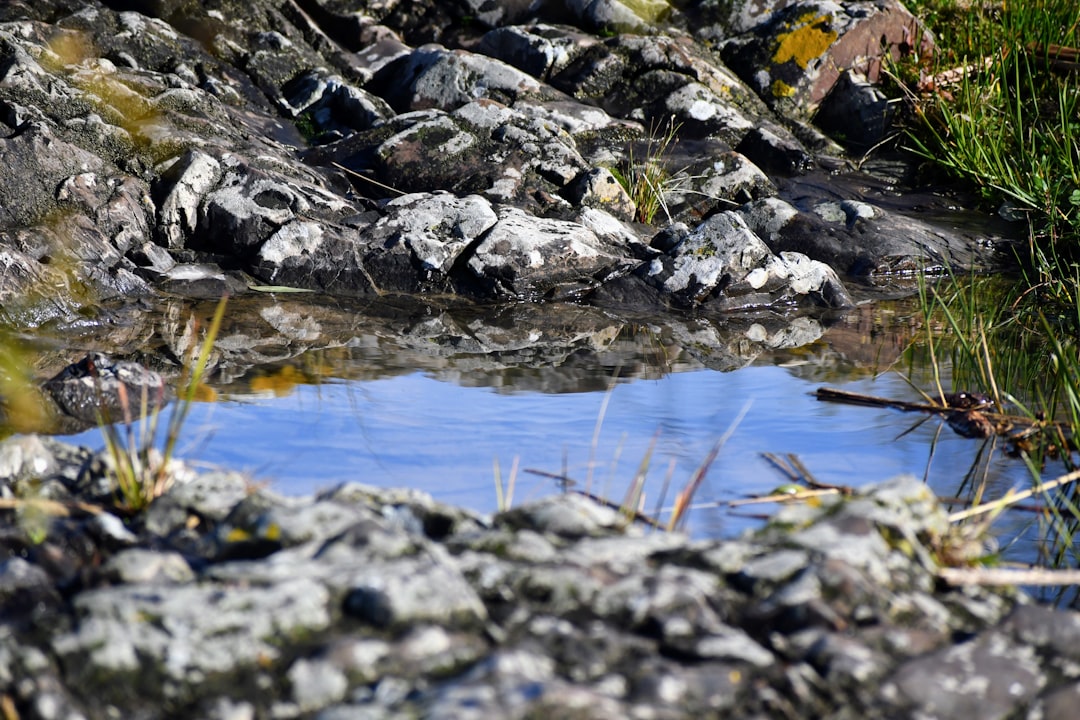 Environmental Concerns Raised