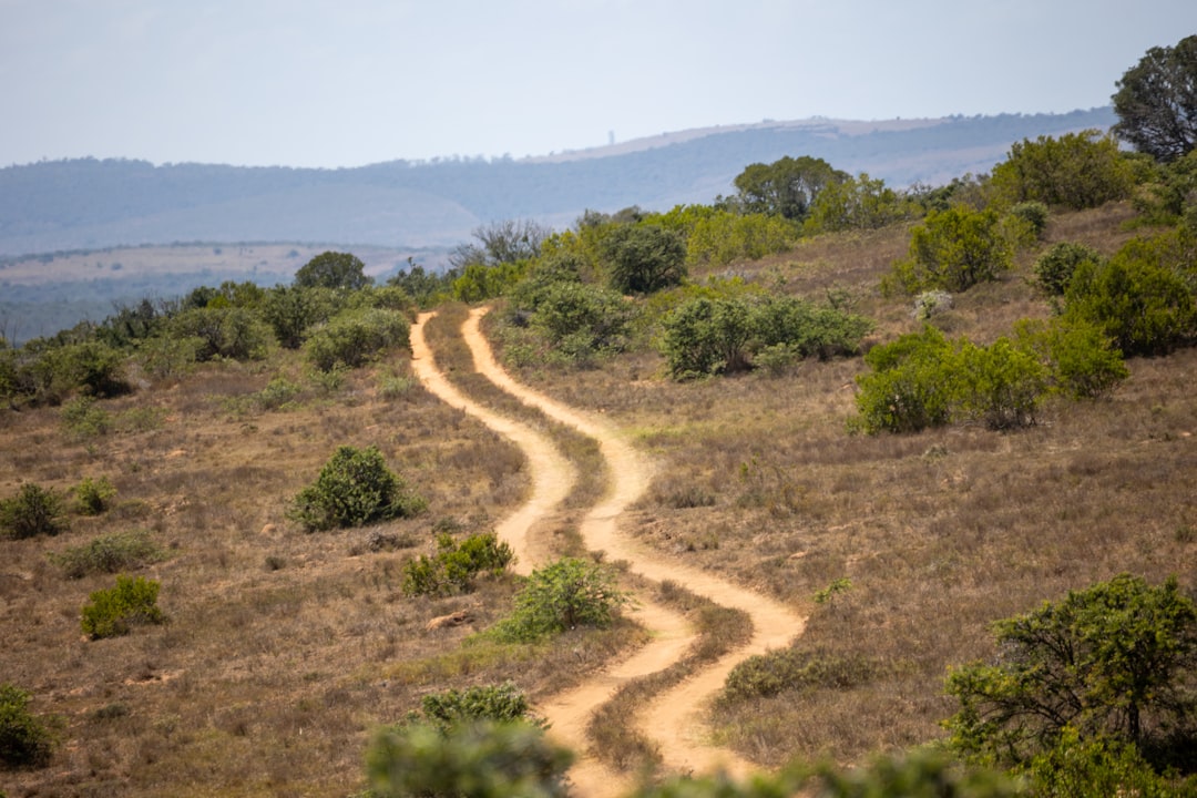 The Path Ahead: Diplomatic Solutions or Military Action?