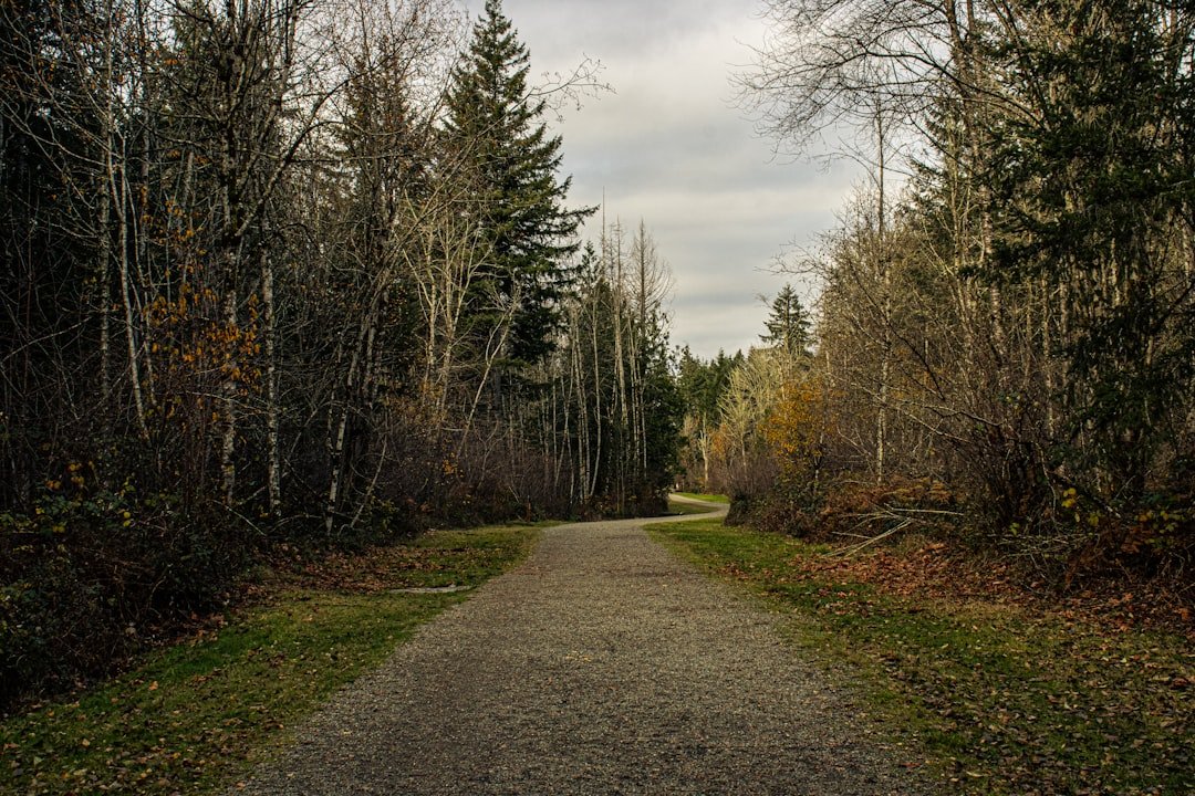 The Path Ahead for Canadian Defence