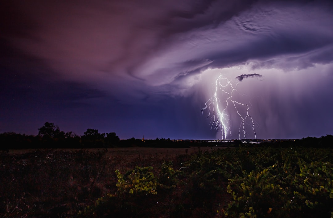 Defensive Dominance from the Thunder