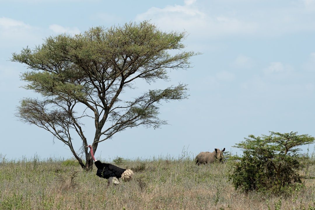 Balancing Development and Conservation