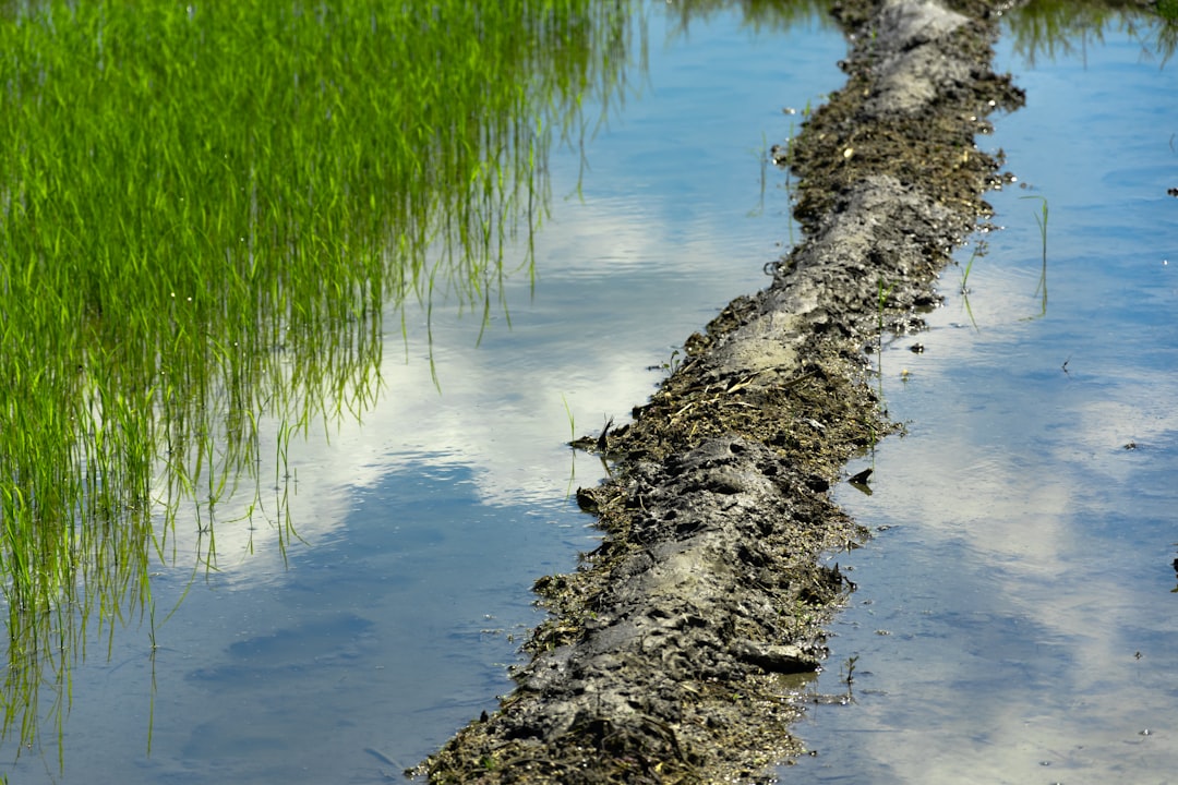 The Broader Impact on Environmental Policy