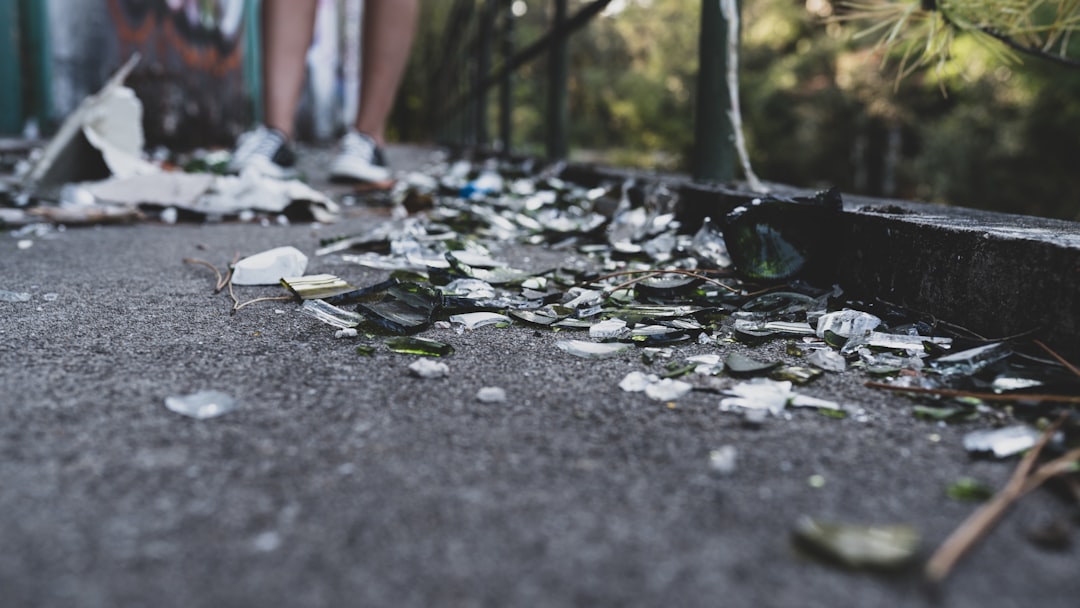 The Aftermath: Calls for Accountability