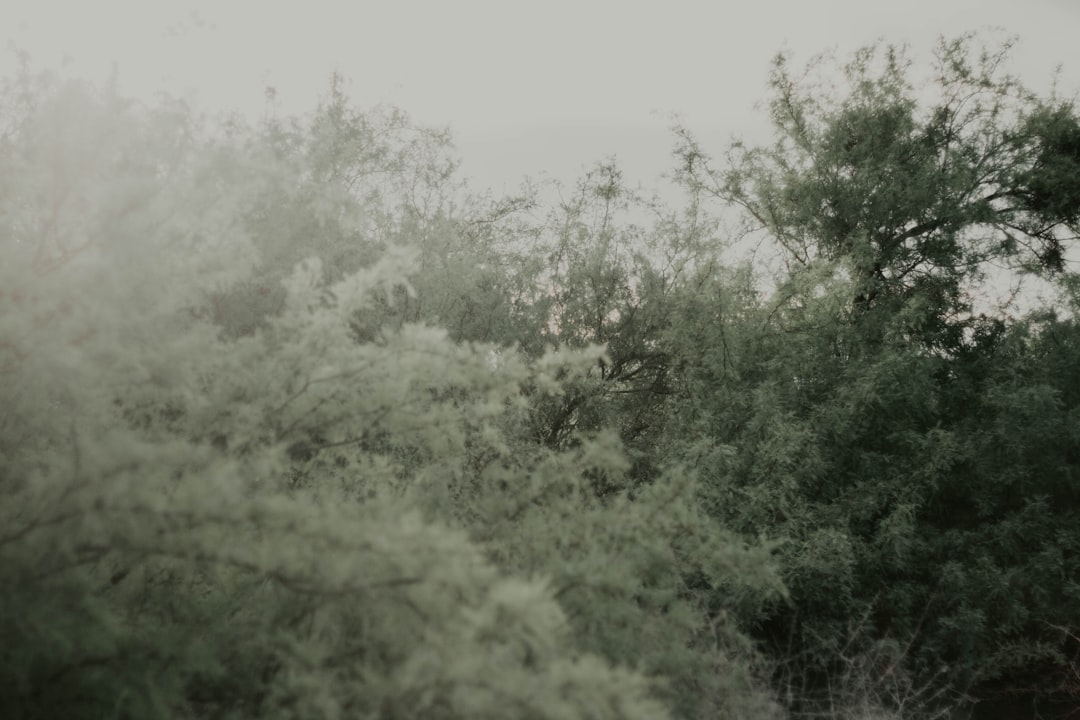 A Tribute to Sarah Burke