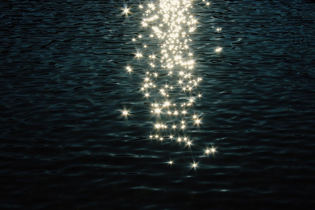 Rising Stars Shine Bright