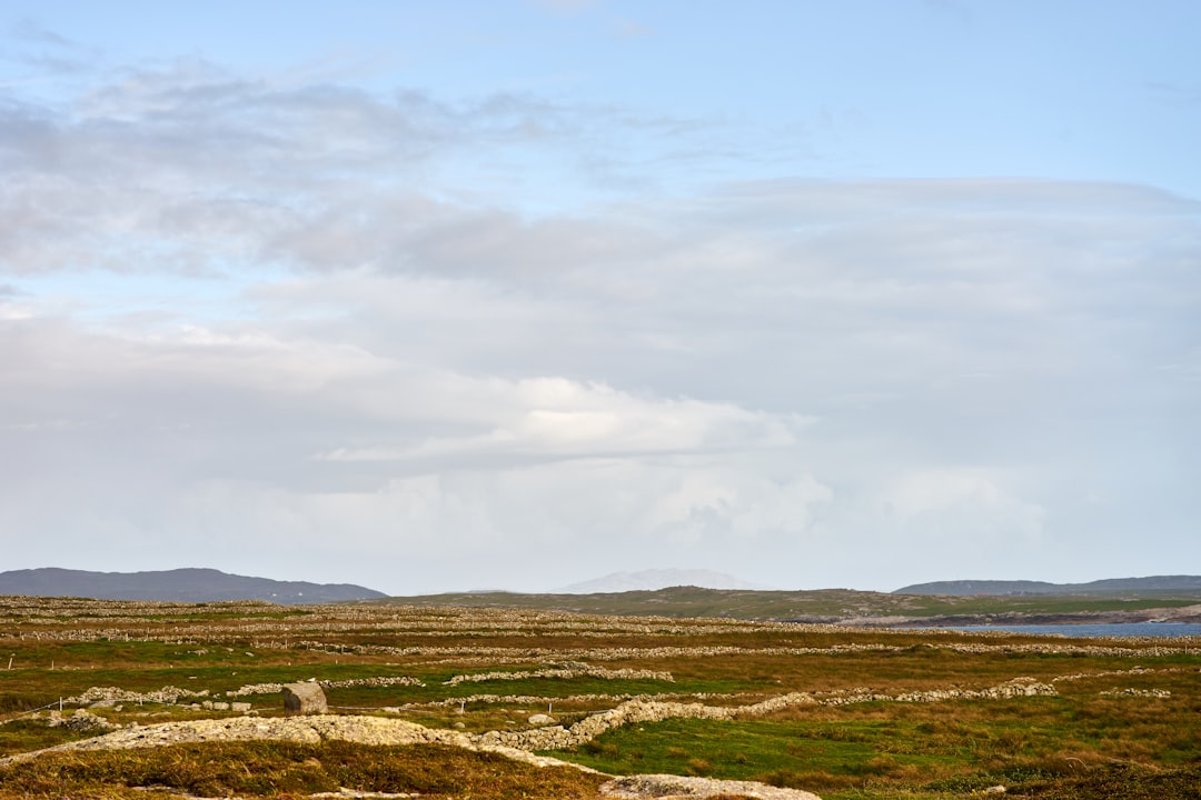 Current Landscape of Assisted Dying Legislation