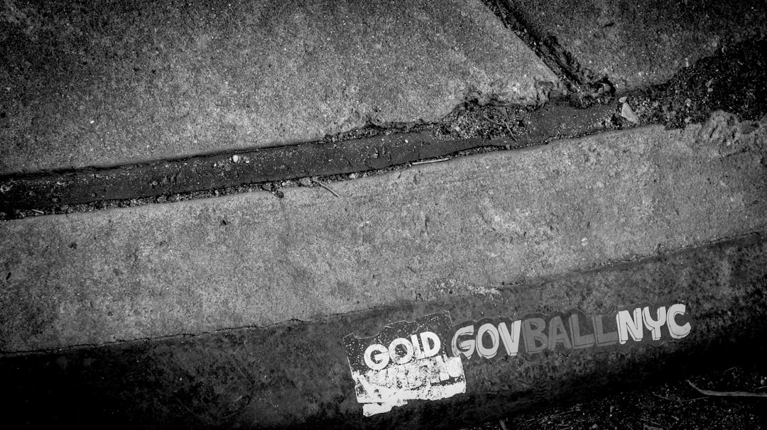 Political Fallout and Government Response