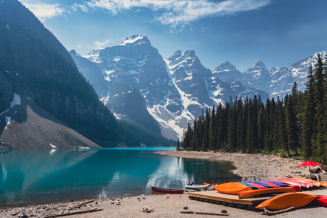 The Quest for Improvement