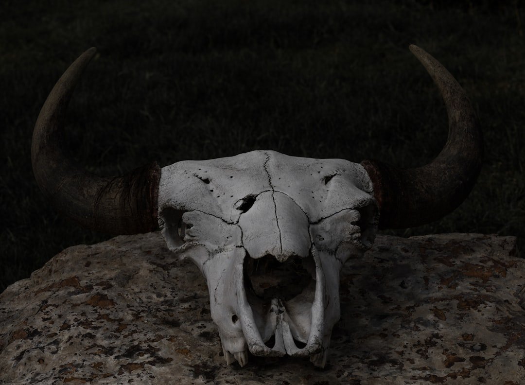 Rare and Deadly: The Unique Nature of Epibatidine