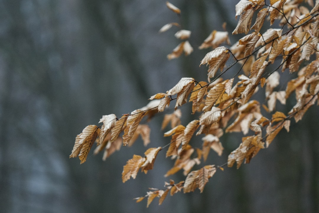 Seasonal Strain and Long-Term Solutions