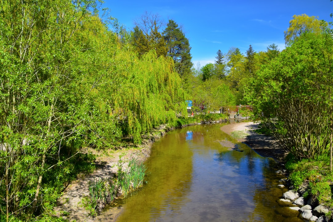 Community Concerns Over Environmental Impact