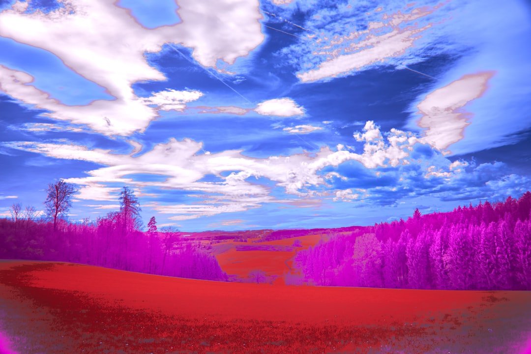 A New Sonic Landscape