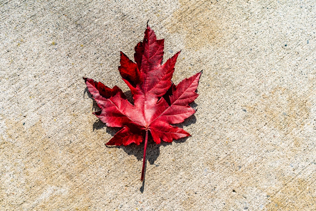 The Fragmented Impact on Canadian Industries