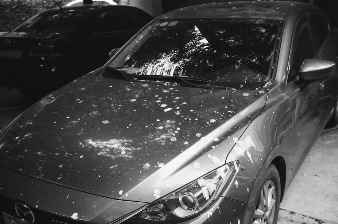 The Impact of Soleimani's Assassination