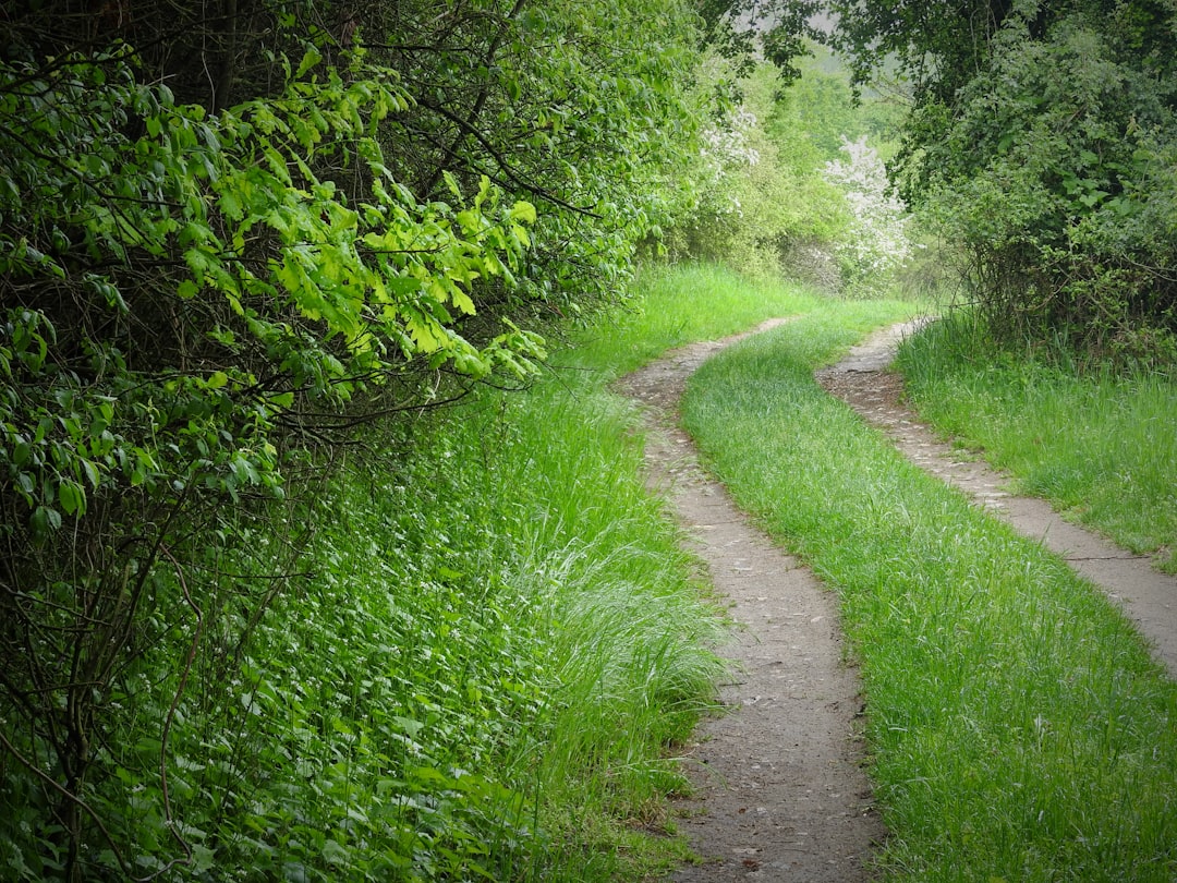 The Path Forward: Treatment and Coping Strategies