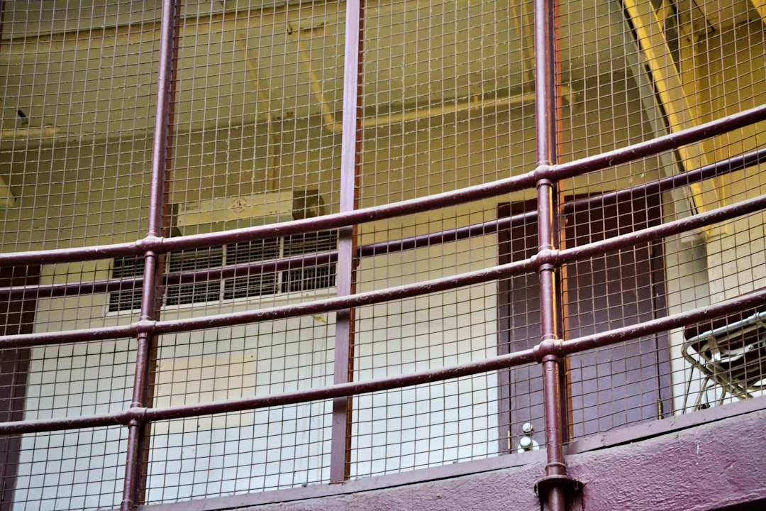 The Prison Sentence and Its Implications