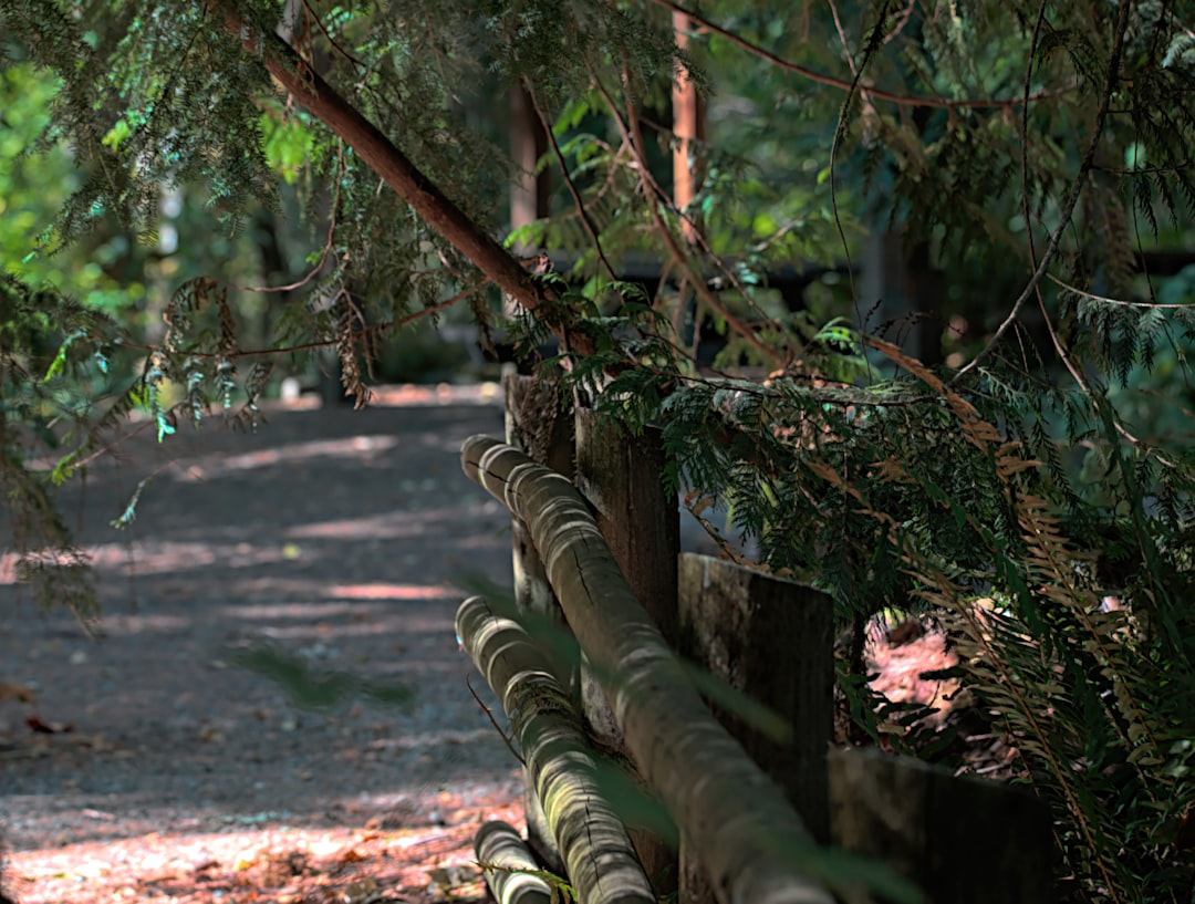 Strengthening Defences