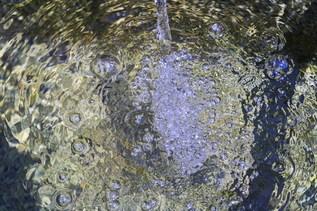 Steamed Seabass with Spring Onion and Ginger