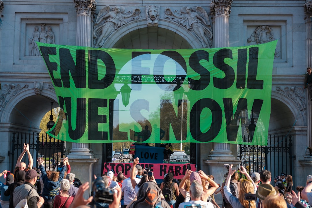 Implications for Environmental Activism
