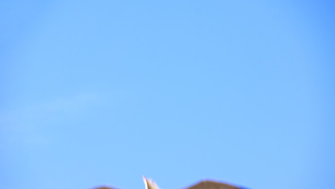 Polling Day in Pictures