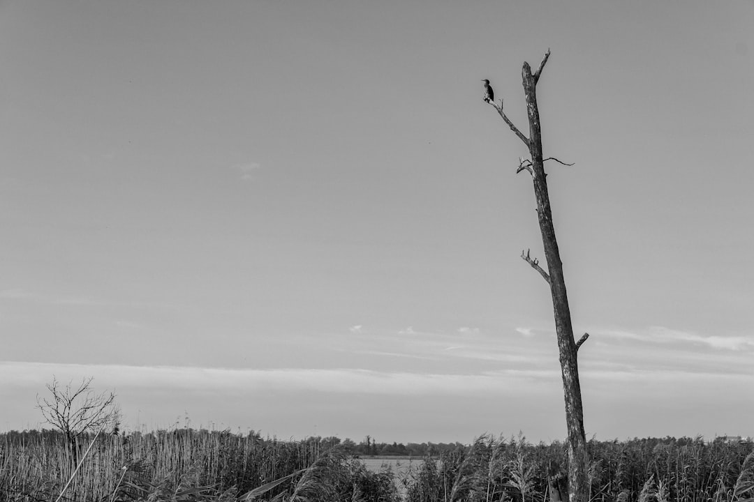 Zelensky's Resilience and Call for Justice