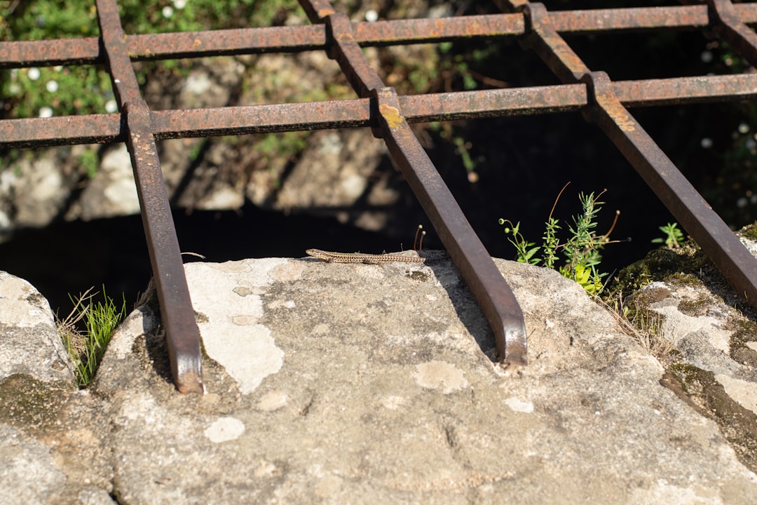 A Pattern of Neglect