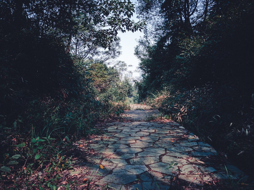 A Complex Path Forward