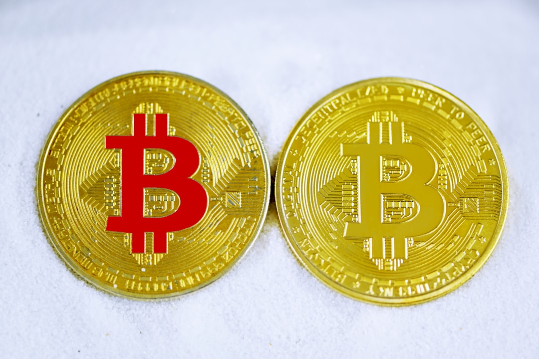 The Bitcoin Conundrum