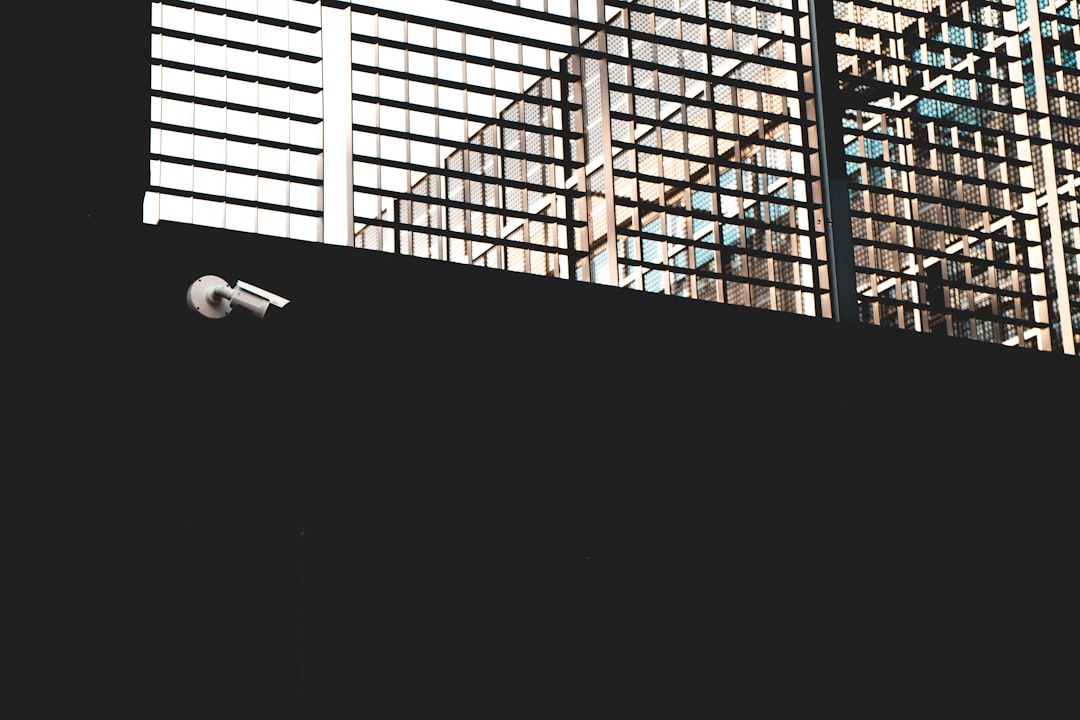 The Future of Immigration Enforcement