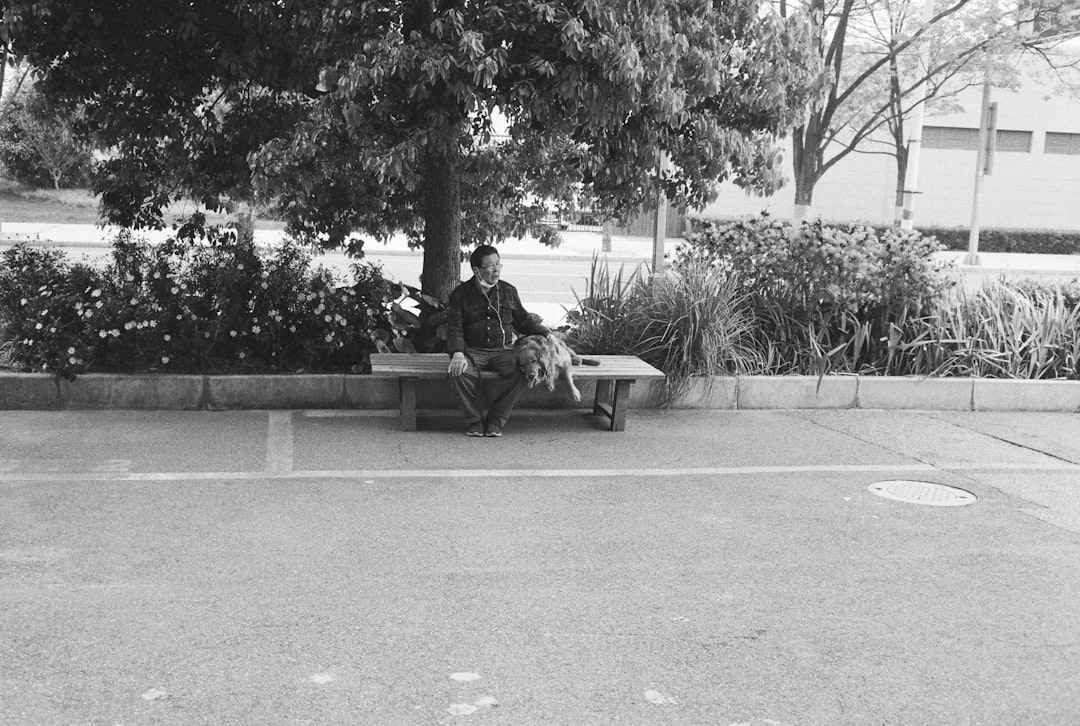 The Public’s Curiosity