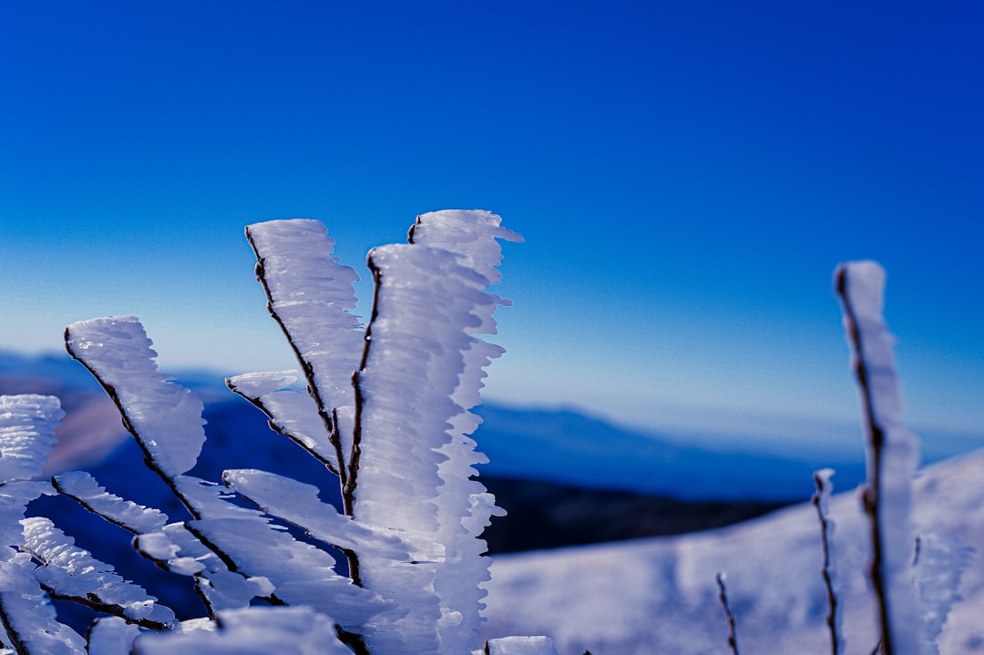 The Impact of Freezing Repayment Thresholds