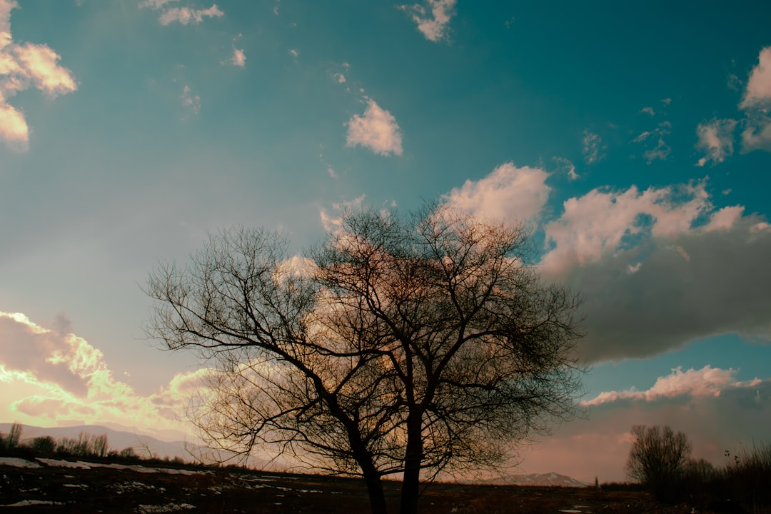 Changes on the Horizon