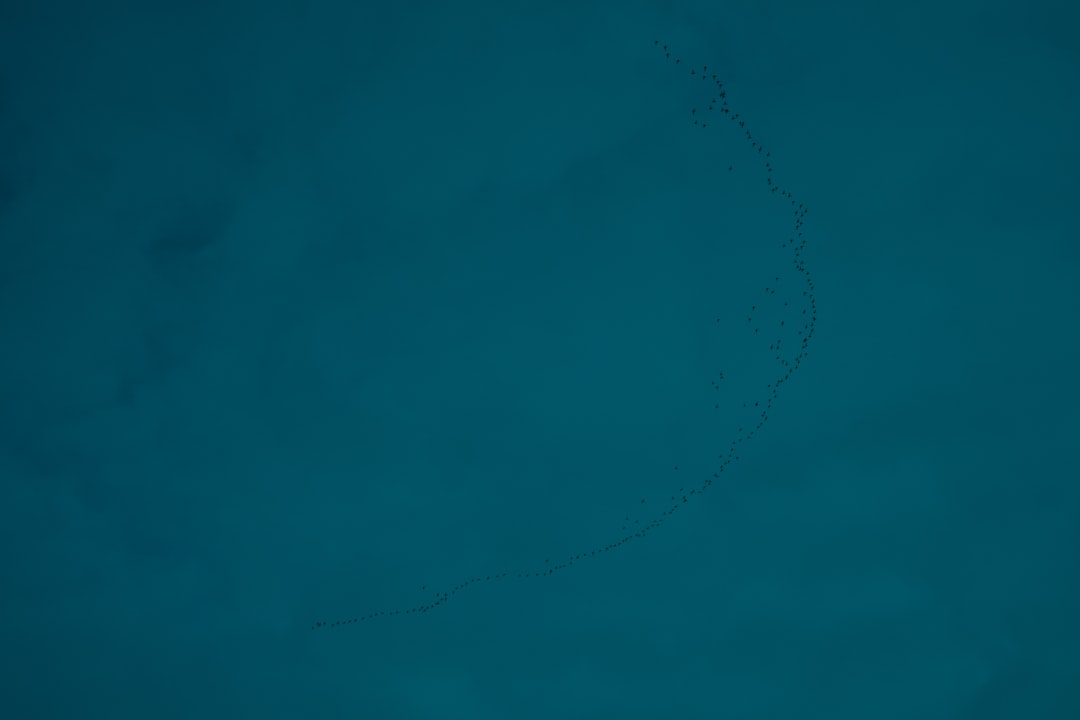 Journey to Conversion