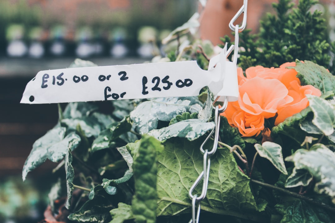 A Deliberate Pricing Strategy