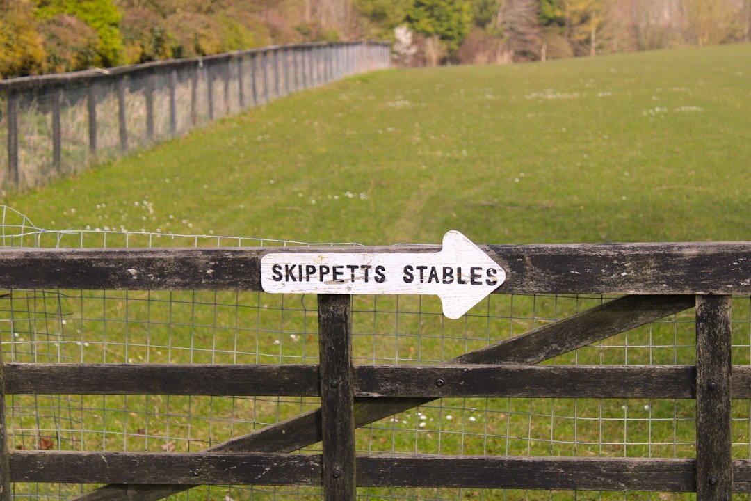 The Stakes for Labour