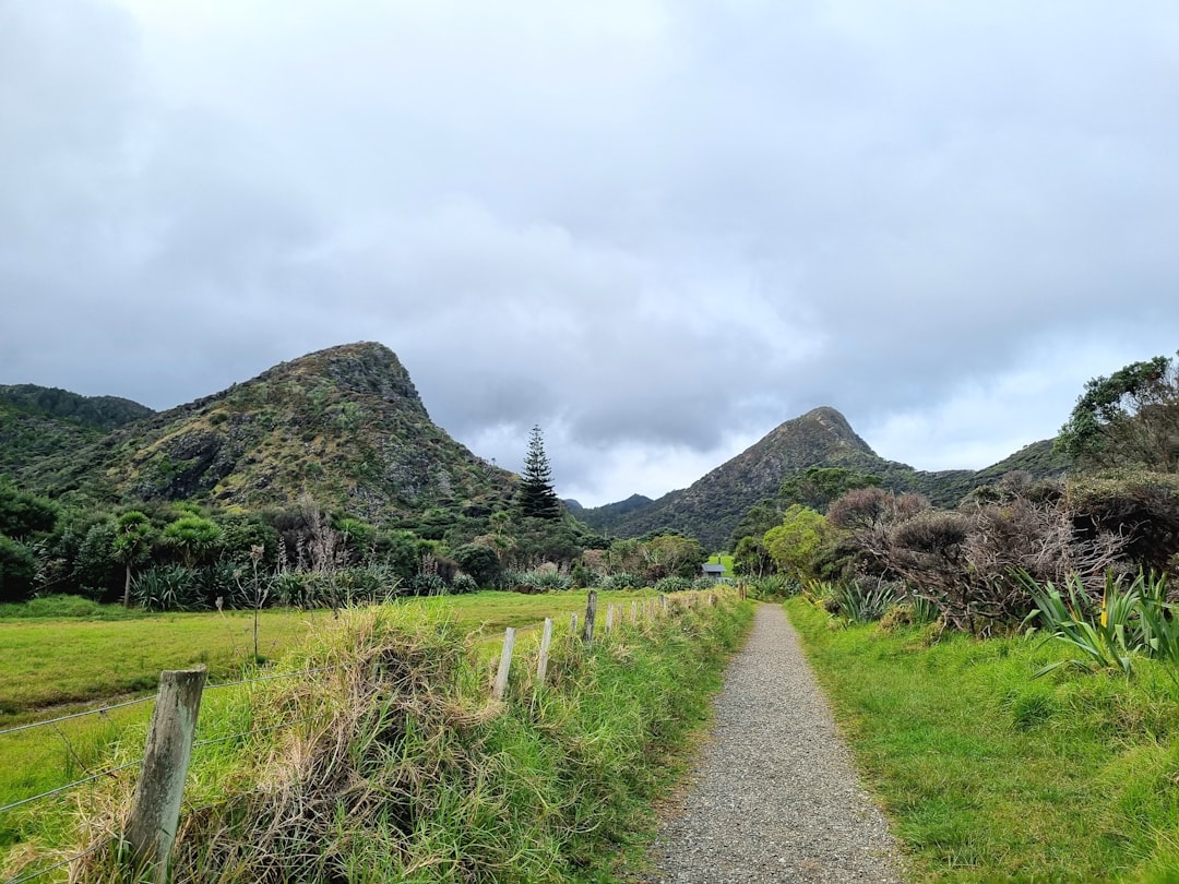 Background of the Trial